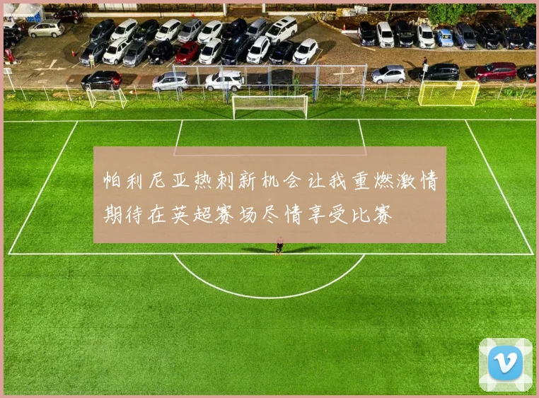 帕利尼亚热刺新机会让我重燃激情期待在英超赛场尽情享受比赛