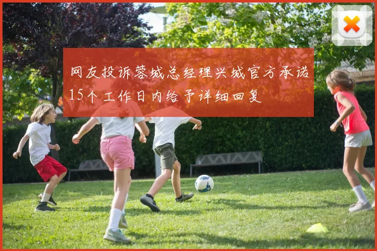 网友投诉蓉城总经理兴城官方承诺15个工作日内给予详细回复