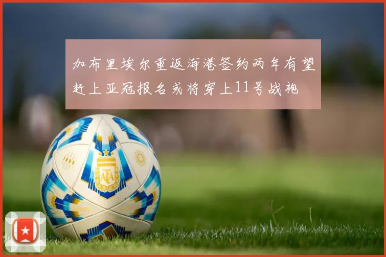 加布里埃尔重返海港签约两年有望赶上亚冠报名或将穿上11号战袍
